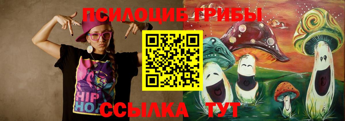 Галлюциногенные грибы Psilocybe  Вход с VPN  Великий Новгород 